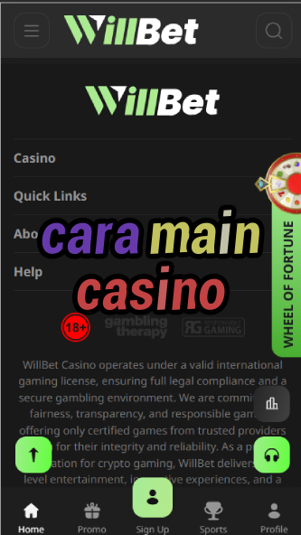Cara Main Casino - How to Play Casino (Malay/Indo)-casinoorder.vip